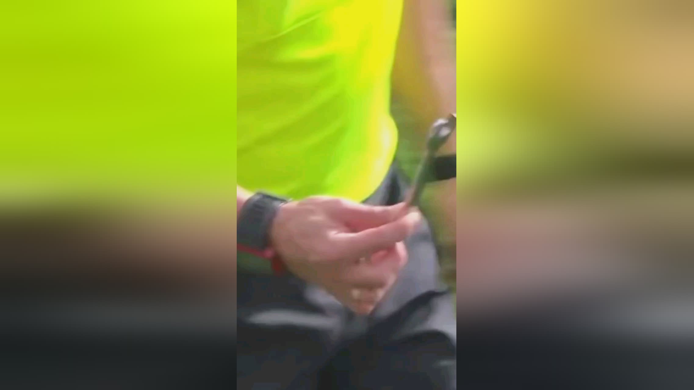 于整体